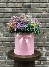 Цветочная композиция из Гипсофила и Розы в шляпной коробке #REPLACE_PRED# Вочепшем