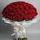 Букет 101 Красная роза Блэк Мэджик в Вочепшем