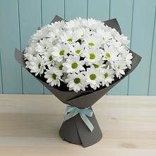Букет цветов из:  Хризантемы #REPLACE_PRED# Вочепшем