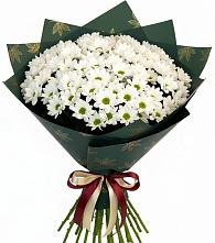 Букет цветов из:  Хризантемы в Вочепшем