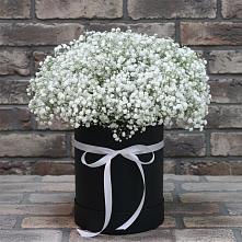Цветочная композиция из Гипсофила в шляпной коробке в Вочепшем